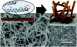 Graphical abstract: Highly adjustable 3D nano-architectures and chemistries via assembled 1D biological templates