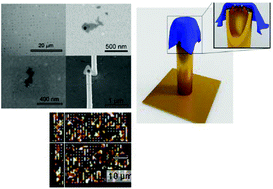 Graphical abstract: Hybrid plasmonic nanostructures based on controlled integration of MoS2 flakes on metallic nanoholes