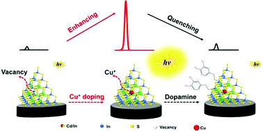 Graphical abstract: Precise mono-Cu+ ion doping enhanced electrogenerated chemiluminescence from Cd–In–S supertetrahedral chalcogenide nanoclusters for dopamine detection