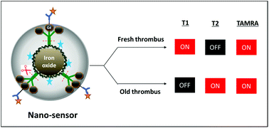 Graphical abstract: Activatable magnetic resonance nanosensor as a potential imaging agent for detecting and discriminating thrombosis