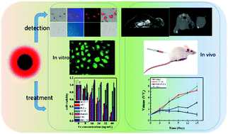 Graphical abstract: Development of a novel FePt-based multifunctional ferroptosis agent for high-efficiency anticancer therapy