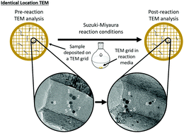 Graphical abstract: Movement of palladium nanoparticles in hollow graphitised nanofibres: the role of migration and coalescence in nanocatalyst sintering during the Suzuki–Miyaura reaction