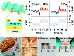 Graphical abstract: Stretchable and conformable synapse memristors for wearable and implantable electronics