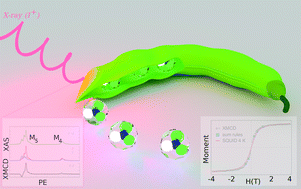 Graphical abstract: Partial magnetic ordering in one-dimensional arrays of endofullerene single-molecule magnet peapods
