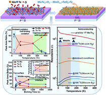 Graphical abstract: Anomalous oxidation and its effect on electrical transport originating from surface chemical instability in large-area, few-layer 1T′-MoTe2 films