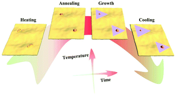 Graphical abstract: In situ formed nanoparticle-assisted growth of large-size single crystalline h-BN on copper