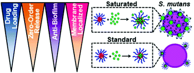 Graphical abstract: Enhanced design and formulation of nanoparticles for anti-biofilm drug delivery