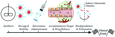 Graphical abstract: Polymer nanoparticles for the intravenous delivery of anticancer drugs: the checkpoints on the road from the synthesis to clinical translation