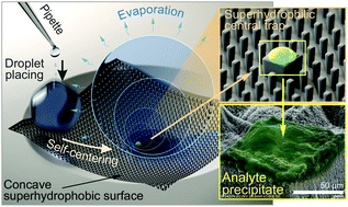 Graphical abstract: On-demand concentration of an analyte on laser-printed polytetrafluoroethylene