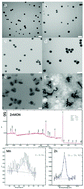 Graphical abstract: Chelation-assisted assembly of multidentate colloidal nanoparticles into metal–organic nanoparticles