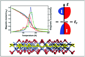 Graphical abstract: Chromium sulfide halide monolayers: intrinsic ferromagnetic semiconductors with large spin polarization and high carrier mobility