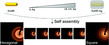 Graphical abstract: Controlling the symmetry of supercrystals formed by plasmonic core–shell nanorods with tunable cross-section