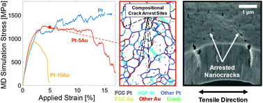 Graphical abstract: New nanoscale toughening mechanisms mitigate embrittlement in binary nanocrystalline alloys