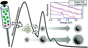 Graphical abstract: Protic additives determine the pathway of CdSe nanocrystal growth