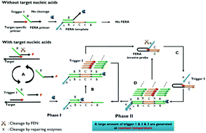 Graphical abstract: Flap endonuclease-initiated enzymatic repairing amplification for ultrasensitive detection of target nucleic acids