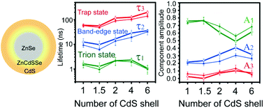 Graphical abstract: Shell-dependent blinking behavior and fluorescence dynamics of single ZnSe/CdS core/shell quantum dots