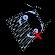 Graphical abstract: Nanographene favors electronic interactions with an electron acceptor rather than an electron donor in a planar fused push–pull conjugate