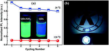 Graphical abstract: Silica coating enhances the stability of inorganic perovskite nanocrystals for efficient and stable down-conversion in white light-emitting devices