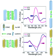 Graphical abstract: Geometric modulation of induced plasmonic circular dichroism in nanoparticle assemblies based on backaction and field enhancement