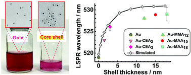Graphical abstract: Plasmonic and colloidal stability behaviours of Au-acrylic core–shell nanoparticles with thin pH-responsive shells
