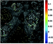 Graphical abstract: Label free localization of nanoparticles in live cancer cells using spectroscopic microscopy