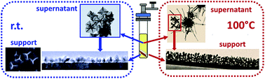 Graphical abstract: Shape selection through epitaxy of supported platinum nanocrystals