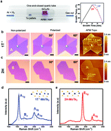 Graphical abstract: Orientation-dependent optical characterization of atomically thin transition metal ditellurides