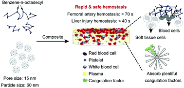 Graphical abstract: A rapid hemostatic sponge based on large, mesoporous silica nanoparticles and N-alkylated chitosan