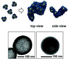Graphical abstract: Vesicle-like assemblies of ligand-stabilized nanoparticles with controllable membrane composition and properties