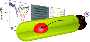 Graphical abstract: Switchable dissociation of excitons bound at strained CdTe/CdS interfaces