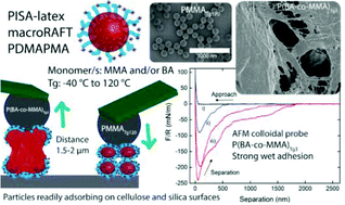 Graphical abstract: Tailoring adhesion of anionic surfaces using cationic PISA-latexes – towards tough nanocellulose materials in the wet state