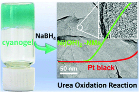 Graphical abstract: Atomically thick Ni(OH)2 nanomeshes for urea electrooxidation
