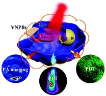 Graphical abstract: Surface-engineered vanadium nitride nanosheets for an imaging-guided photothermal/photodynamic platform of cancer treatment