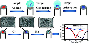 Graphical abstract: A sensitive and selective electroanalysis strategy for histidine using the wettable well electrodes modified with graphene quantum dot-scaffolded melamine and copper nanocomposites