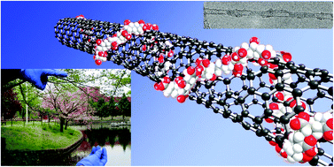 Graphical abstract: A highly durable, stretchable, transparent and conductive carbon nanotube–polymeric acid hybrid film