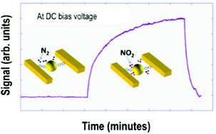 Graphical abstract: A sub 20 nm metal-conjugated molecule junction acting as a nitrogen dioxide sensor