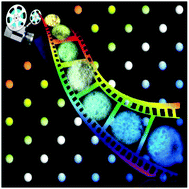 Graphical abstract: Quench-resistant and stable nanocarbon dot/sheet emitters with tunable solid-state fluorescence via aggregation-induced color switching