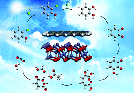 Graphical abstract: Functionalized nitrogen-doped carbon dot-modified yolk–shell ZnFe2O4 nanospheres with highly efficient light harvesting and superior catalytic activity