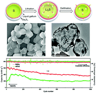 Graphical abstract: A liquid metal-based self-adaptive sulfur–gallium composite for long-cycling lithium–sulfur batteries