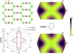 Graphical abstract: Two-dimensional honeycomb borophene oxide: strong anisotropy and nodal loop transformation
