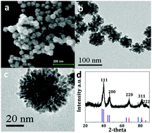 Graphical abstract: Au@Pt nanodendrites enhanced multimodal enzyme-linked immunosorbent assay