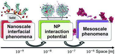Graphical abstract: Multi-scale approach for modeling stability, aggregation, and network formation of nanoparticles suspended in aqueous solutions