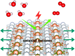 Graphical abstract: Tuning the oxygen evolution reaction on a nickel–iron alloy via active straining