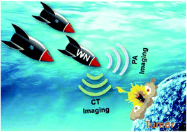 Graphical abstract: A tungsten nitride-based degradable nanoplatform for dual-modal image-guided combinatorial chemo-photothermal therapy of tumors