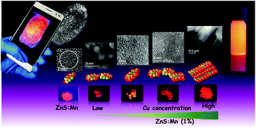 Graphical abstract: Tailoring of structural and photoluminescence emissions by Mn and Cu co-doping in 2D nanostructures of ZnS for the visualization of latent fingerprints and generation of white light