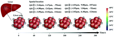 Graphical abstract: Quantum 3D thermal imaging at the micro–nanoscale