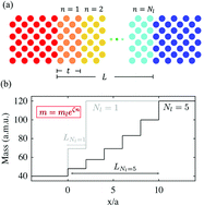 Graphical abstract: Maximization of thermal conductance at interfaces via exponentially mass-graded interlayers