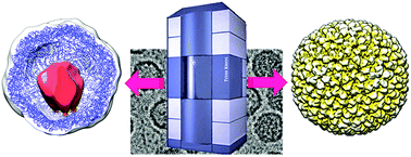 Graphical abstract: Structural nanotechnology: three-dimensional cryo-EM and its use in the development of nanoplatforms for in vitro catalysis