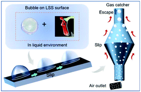 Graphical abstract: Pitcher plant-bioinspired bubble slippery surface fabricated by femtosecond laser for buoyancy-driven bubble self-transport and efficient gas capture