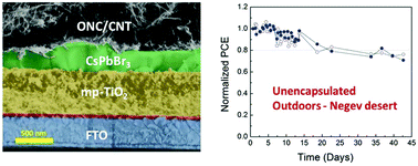 Graphical abstract: Hybrid organic nanocrystal/carbon nanotube film electrodes for air- and photo-stable perovskite photovoltaics